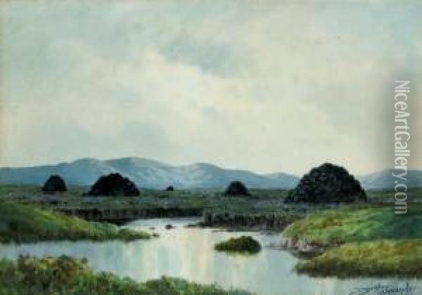 Boglands, Co. Donegal Oil Painting - Douglas Alexander