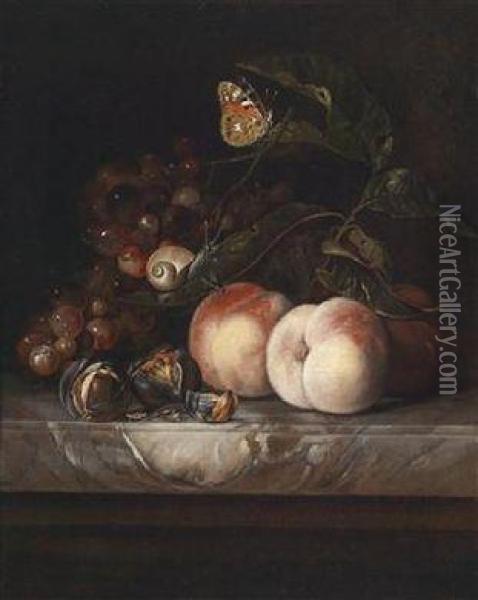 A Still Life With Fruit With A Butterfly And A Snail Oil Painting - Willem Van Aelst