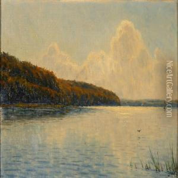 Scene From Fureso Lake Oil Painting - Albert Edward Wang