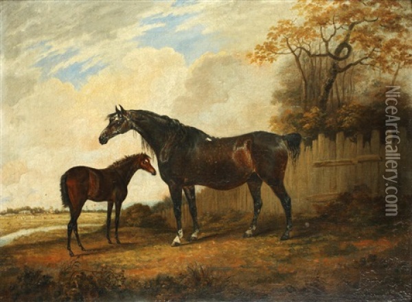 Horse And Foal In A Parkland Setting Oil Painting - Dean Wolstenholme the Younger