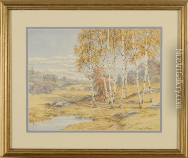 Fall River Landscape With Stand Of Birches In Foreground Oil Painting - Charles Grant Davidson