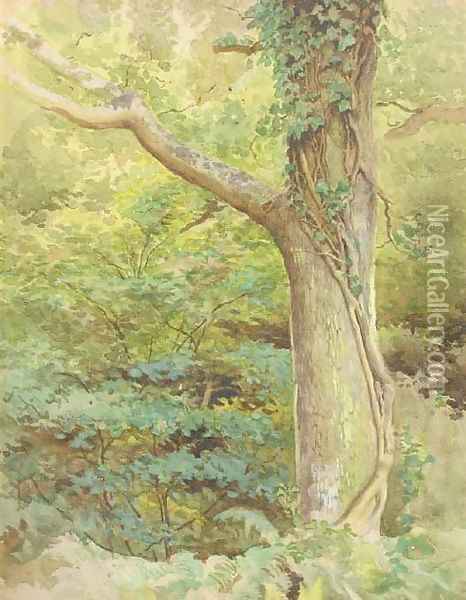 A wooded glade Oil Painting - Kate Greenaway