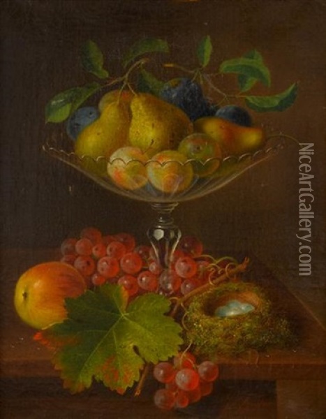 Still Life With Fruit In A Glass Compote With Bird's Nest And Eggs Oil Painting - George Forster