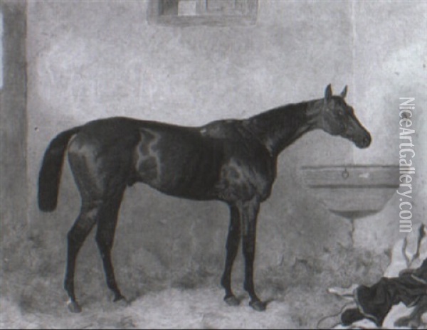 Bay Racehorse In A Stable Oil Painting - Harry Hall