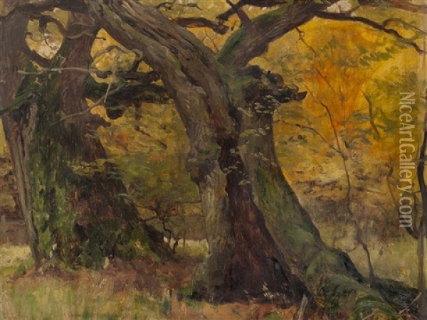 Oak Trees In A Park Oil Painting - Eugen Felix Prosper Bracht