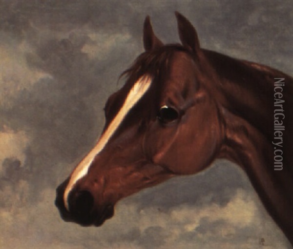 Study Of Mr. Stanlake Baston's Chesnut Colt 'plenipotentiary' Oil Painting - Abraham Cooper