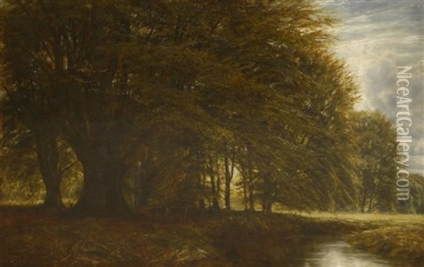 A Wooded Landscape, Burnham Beeches Oil Painting - Edmund George Warren