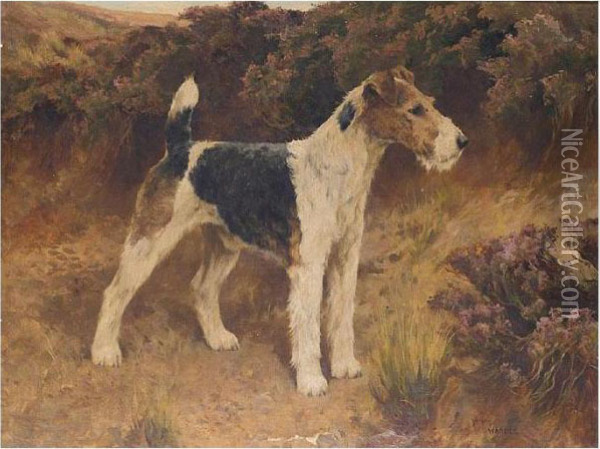 Mr Dunford's Champion Wire-haired Fox-terrier Barrington Bridegroom Oil Painting - Arthur Wardle