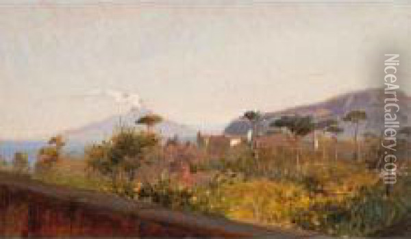 Marina Col Vesuvio Oil Painting - Federico Rossano