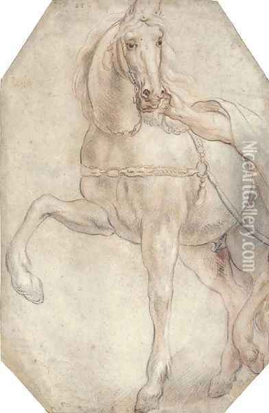 A harnessed horse looking to the right Oil Painting - Jacob Jordaens