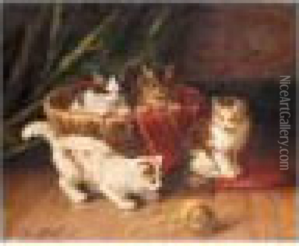 Kittens Playing Oil Painting - Alphonse de Neuville