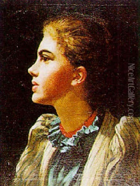 A Portrait Of A Lady Oil Painting - Charles Holroyd
