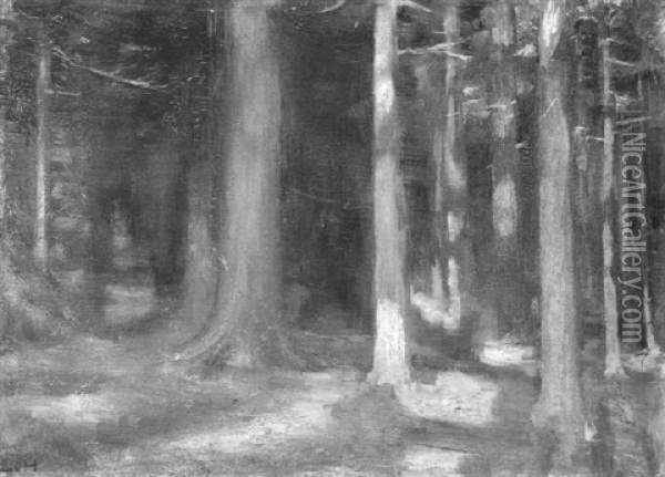 Wald Mit Durchbrechender Sonne Oil Painting - Ludwig Von Hofmann