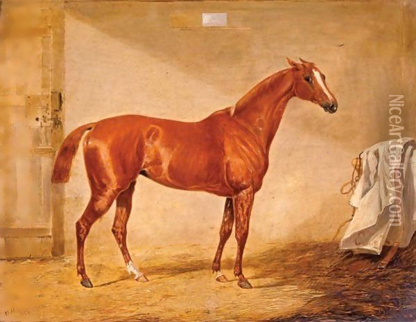A Racehorse In A Loose Box Oil Painting - Henry Thomas Alken