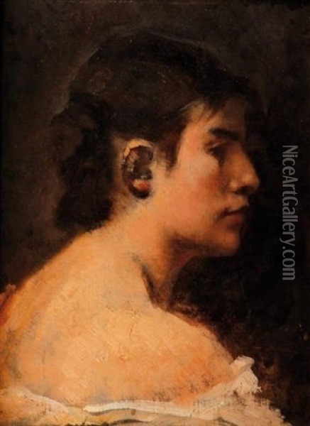 Portrait De Femme De Profil Oil Painting - Jean Alexandre Joseph Falguiere