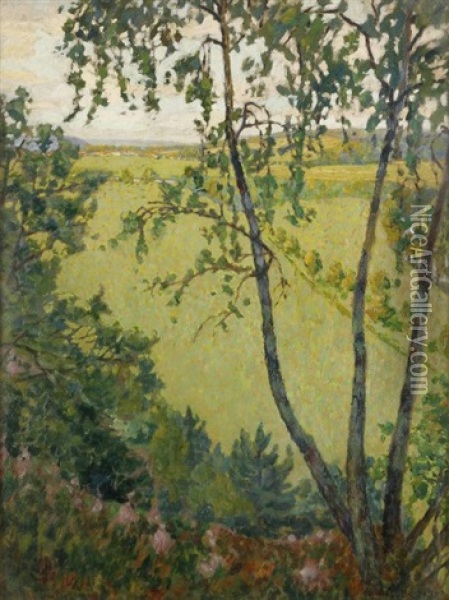 Sous-bois Oil Painting - Michel Auguste Colle
