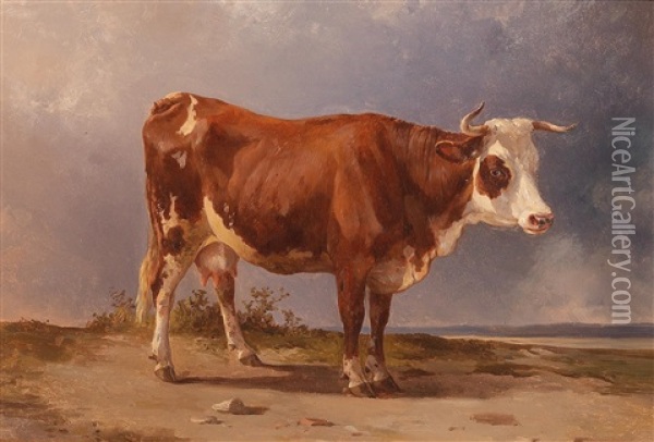 Cow Standing In An Open Landscape Oil Painting - Edmund Mahlknecht
