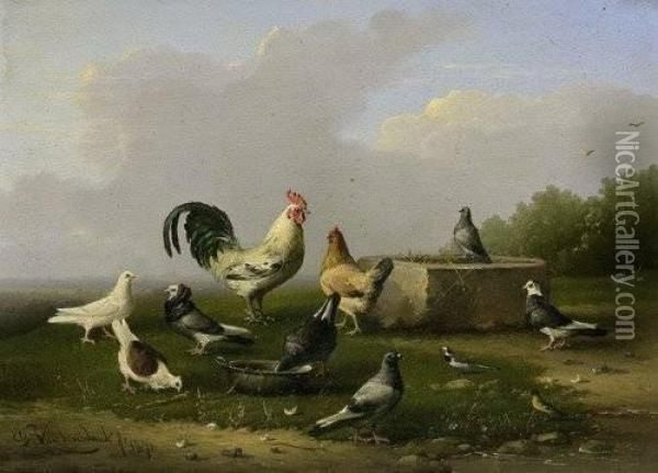 Hahn Mit Henne Und Tauben In Einer Idyllischen Wiesenlandschaft Oil Painting - Franz van Severdonck