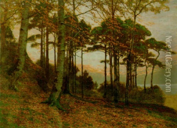 Evening Among The Pines Oil Painting - James Thomas Watts