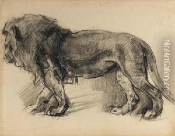 Study Of A Lion (recto); Study Of A Horseman (verso) Oil Painting - Johannes Hendrikus Jurres
