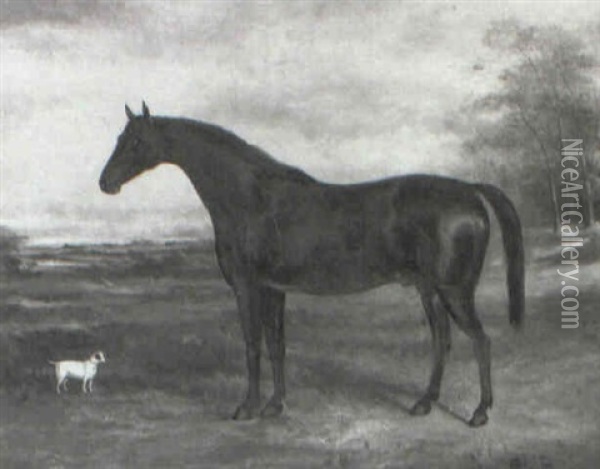Dark Bay Hunter With A Terrier In A Landscape Oil Painting - John Spode