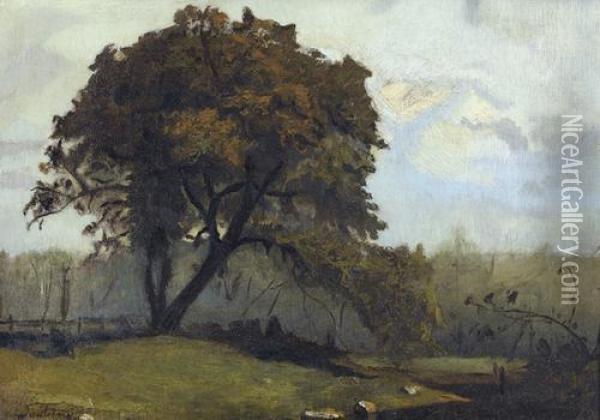 Landschaftspartie Mit Baum. Oil Painting - Charles-Francois Daubigny