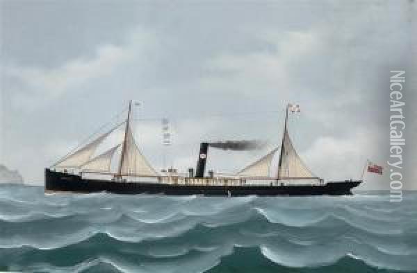 The General Cargo Steamer 
Brator Oil Painting - Luigi Roberto
