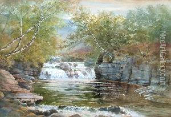 Waterfall In Woodland Oil Painting - Walter Severn