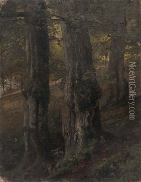 Im Wald Oil Painting - Heinrich Deiters