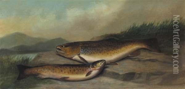 Brown Trout Oil Painting - John Bucknell Russell