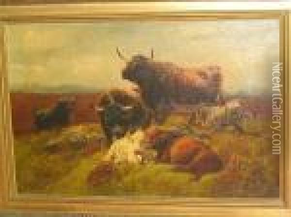 Highland Cattle On A Hillside Oil Painting - Robert Watson