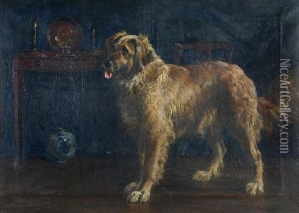 Study Of A Golden Retriever In A Drawing Room Oil Painting - Percy Macquoid