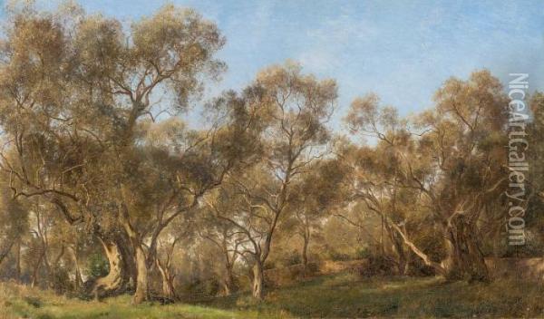 Olive Grove Oil Painting - Janus Andreas La Cour
