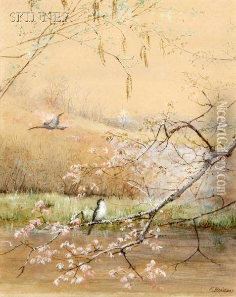 First Signs Of Spring Oil Painting - Fidelia Bridges