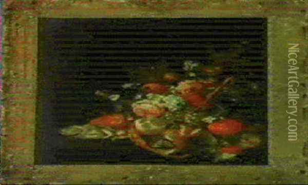 Stilleben Mit Fruchten, Blumen, Muscheln Und Insekten Vor   Einem Steinpodest Oil Painting - Cornelis De Heem