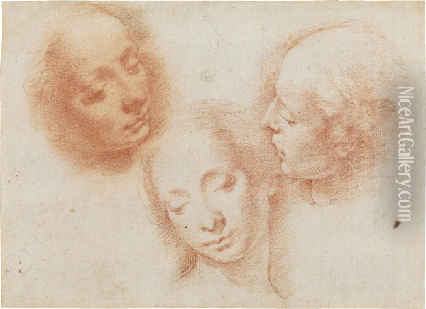 Three Studies Of A Woman's Head Oil Painting - Alessandro Casolani