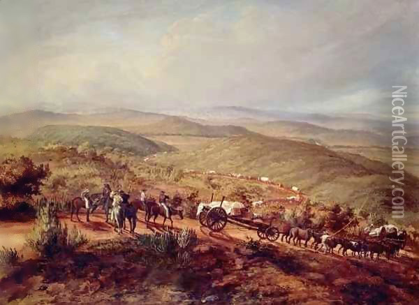 Near Sidbury, Cape Province Oil Painting - Thomas Baines