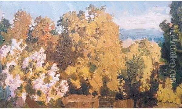 Paysage Boise Oil Painting - Stanislav Iulianov. Joukovski
