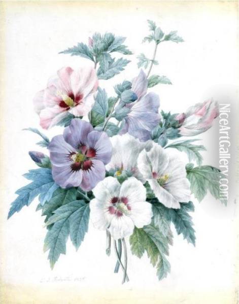 A Bouquet Of Rose Of Sharon (hibiscus Syriacus) Oil Painting - Pierre-Joseph Redoute
