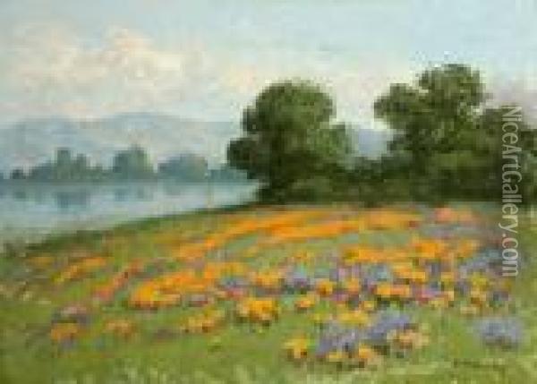 Poppies And Lupine In A California Landscape Oil Painting - William Jackson