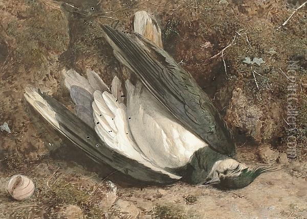 A Fallen Lapwing On A Mossy Bank Oil Painting - William B. Hough