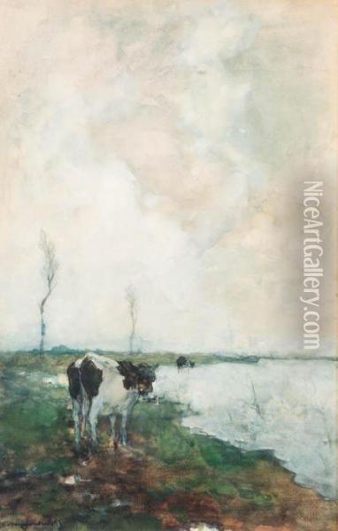 A Cow Standing By The Waterside In A Polder Oil Painting - Jan Hendrik Weissenbruch