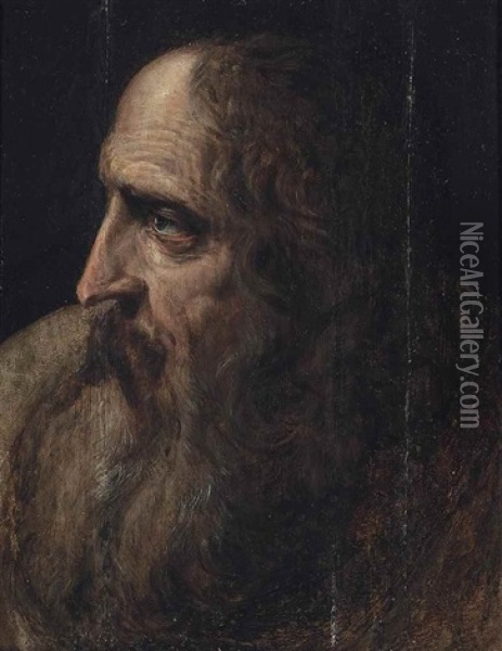Head Study Oil Painting - Frans Floris the Elder