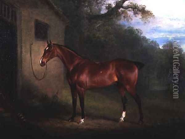Portrait of a Bay Hunter Tethered to a Stable Oil Painting - Charles Henry Schwanfelder
