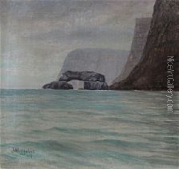 Coastal Scene From The Faroe Islands Oil Painting - Joen Waagstein