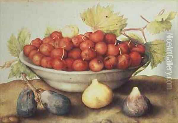 A Bowl of Cherries and Figs Oil Painting - Giovanna Garzoni