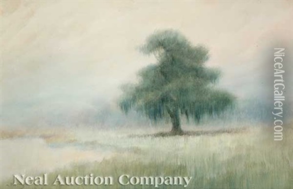 Misty Morning On The Bayou Oil Painting - Alexander John Drysdale