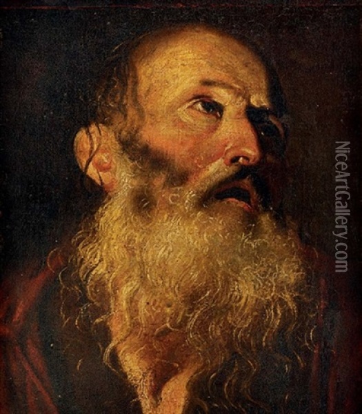 The Head Of St. Peter Oil Painting - Francesco Fracanzano