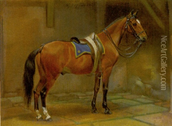 Braunes Pferd, Gesattelt Im Stall Oil Painting - Johann Adam Klein