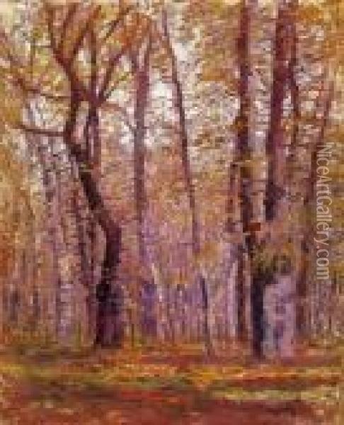 Autumn Forest Oil Painting - Laszlo Mednyanszky